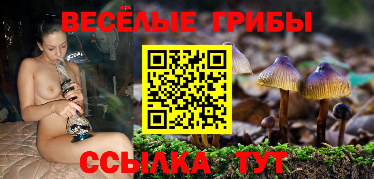 Псилоцибиновые грибы MAGIC MUSHROOMS Валуйки