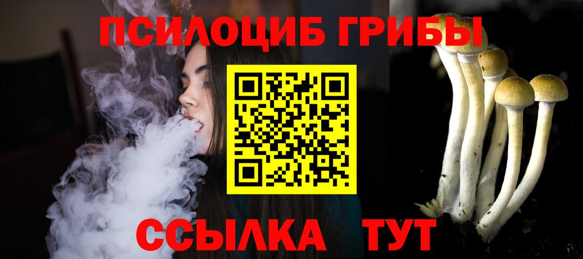 Псилоцибиновые грибы мицелий  Вход с VPN  Псилоцибиновые грибы мицелий  Валуйки 